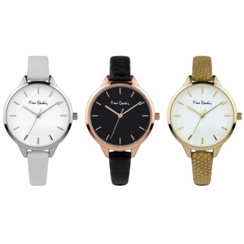 Pierre cardin hot sale watch set